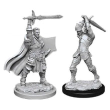 Nolzur's Marvelous Miniatures: Male Human Paladin