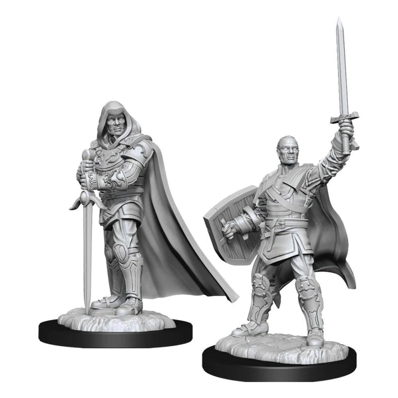 Nolzur's Marvelous Miniatures: Male Human Paladin