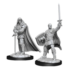 Nolzur's Marvelous Miniatures: Male Human Paladin