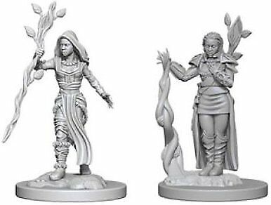 Nolzur's Marvelous Miniatures: Female Human Druid
