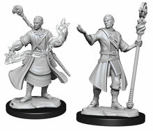 Nolzur's Marvelous Miniatures: Male Half-Elf Wizard