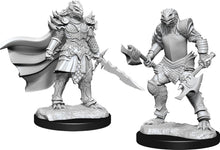 Nolzur's Marvelous Miniatures: Female Dragonborn Fighter