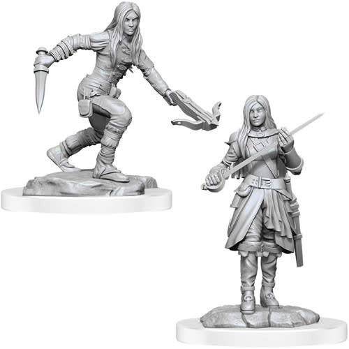 Nolzur's Marvelous Miniatures: Female Half-Elf Rogue