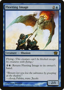 Fleeting Image [Eighth Edition]