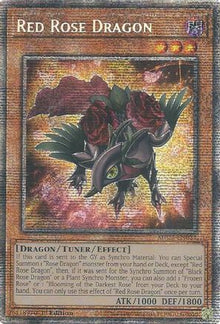 Red Rose Dragon [MP25-EN037] Starlight Rare