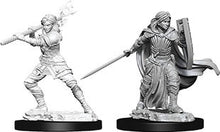 Nolzur's Marvelous Miniatures: Female Human Paladin
