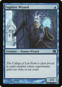 Fugitive Wizard [Ninth Edition]