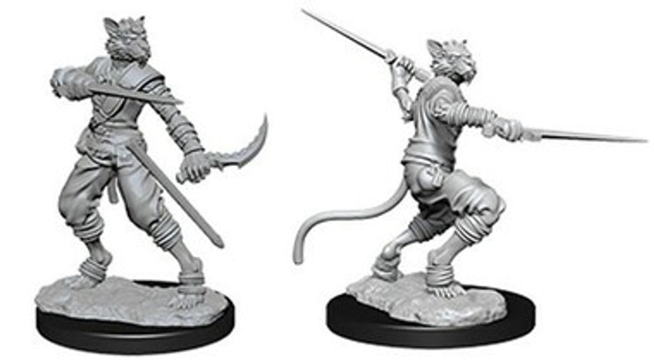 Nolzur's Marvelous Miniatures: Male Tabaxi Rogue