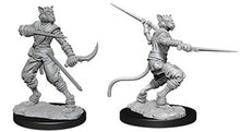 Nolzur's Marvelous Miniatures: Male Tabaxi Rogue