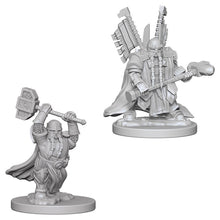 Nolzur's Marvelous Miniatures: Male Dwarf Paladin