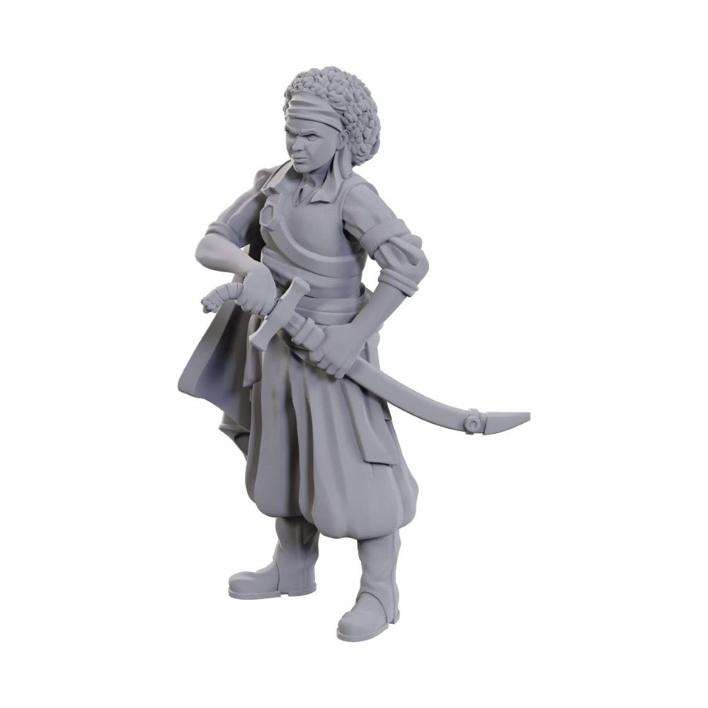 Nolzur's Marvelous Miniatures: Ansalon Human Rogue