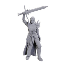 D&D Nolzur's Marvelous Miniatures: Blackguard