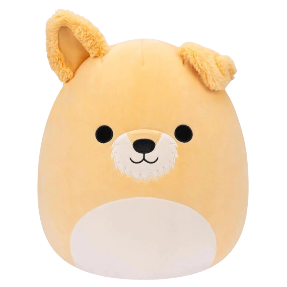 Squishmallows: 5" Cooper the Schnauzer