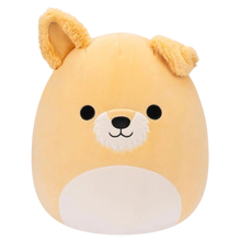Squishmallows: 5" Cooper the Schnauzer