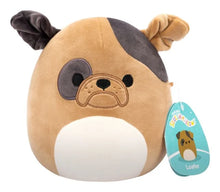 Squishmallows: 7.5" Loafer the Bulldog