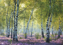 Ravensburger: Birch Forest Puzzle 1000pc