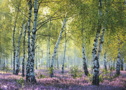 Ravensburger: Birch Forest Puzzle 1000pc