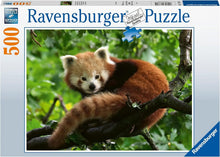 Ravensburger: Red Panda Photo Puzzle 500pc