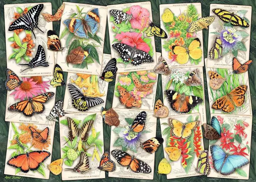 Ravensburger: Tropical Butterflies 1000pc