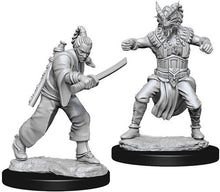 Nolzur's Marvelous Miniatures: Male Human Monk