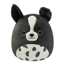 Squishmallows: 5" Monty