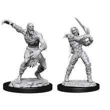 Nolzur's Marvelous Miniatures: Wight and Ghast