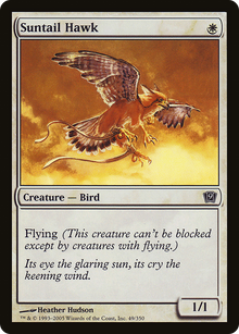 Suntail Hawk [Ninth Edition]