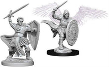 Nolzur's Marvelous Miniatures: Male Aasimar Paladin