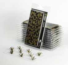 Gamers Grass: Agave Laser Plants