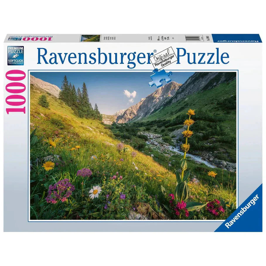 Ravensburger: Magical Valley 1000pc
