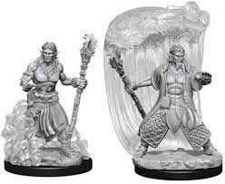 Nolzur's Marvelous Miniatures: Male Water Genasi Druid
