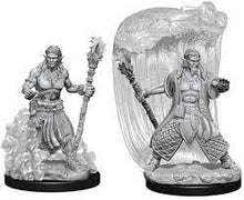 Nolzur's Marvelous Miniatures: Male Water Genasi Druid