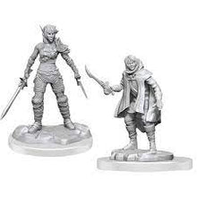 Nolzur's Marvelous Miniatures: Elf Rogue & Half-Elf Rogue Protege