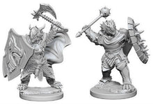Nolzur's Marvelous Miniatures: Male Dragonborn Paladin