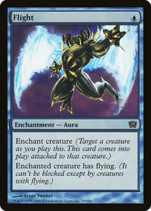 Flight [Ninth Edition]