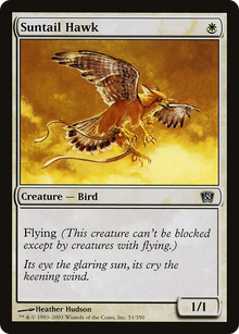 Suntail Hawk [Eighth Edition]