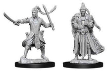 Nolzur's Marvelous Miniatures: Male Elf Paladin