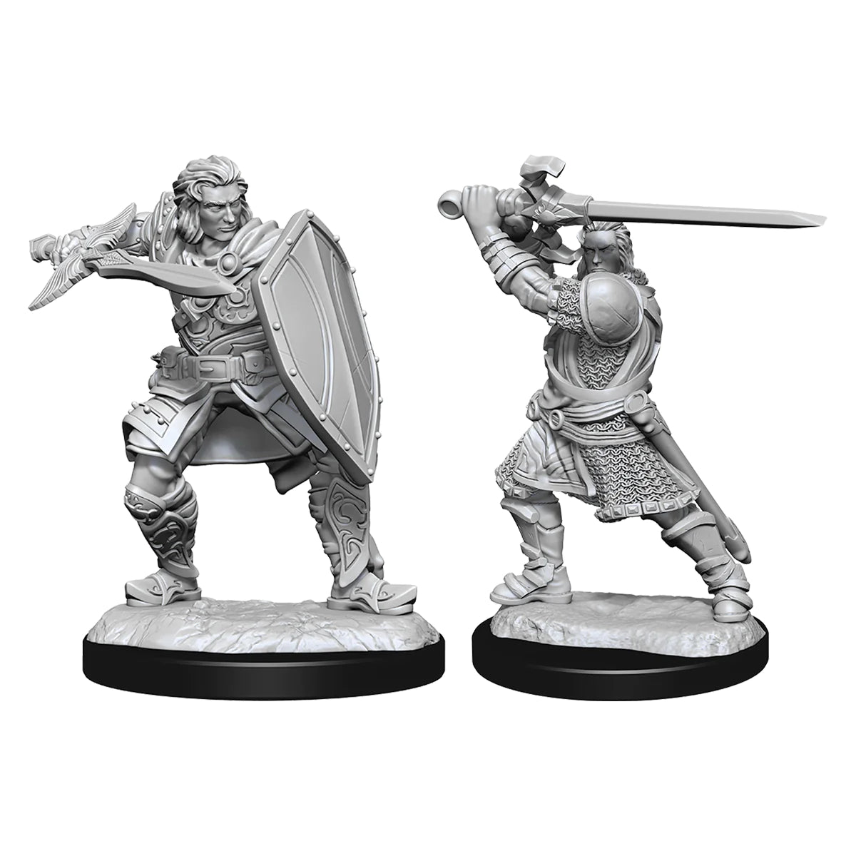 Nolzur's Marvelous Miniatures: Male Human Paladin