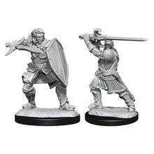Nolzur's Marvelous Miniatures: Male Human Paladin
