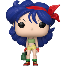 Funko: Dragonball - Lunch 1998 Pop!