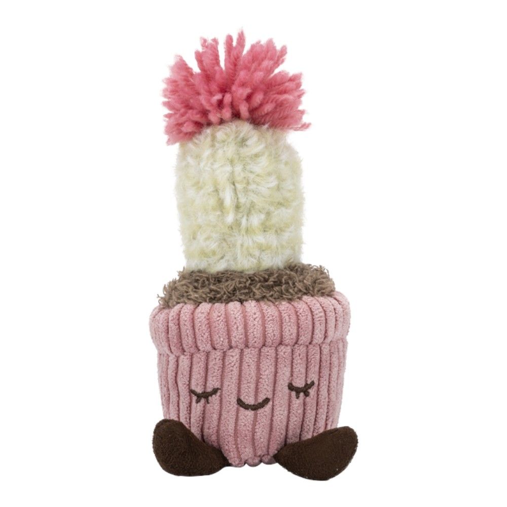 Greenhouse by Russ: 6" - Mara the Flowering Cactus