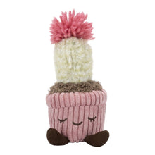 Greenhouse by Russ: 6" - Mara the Flowering Cactus