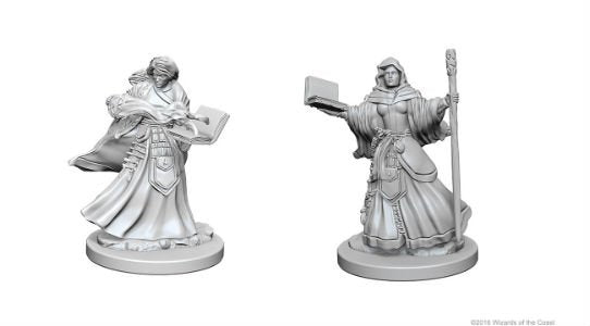 Nolzur's Marvelous Miniatures: Female Human Wizard