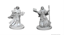 Nolzur's Marvelous Miniatures: Female Human Wizard