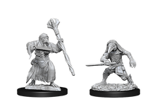 Nolzur's Marvelous Miniatures: Kenku Adventures