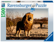Ravensburger: Lion, King of the Animals 1500pc