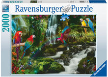 Ravensburger: Parrots' Paradise 2000pc