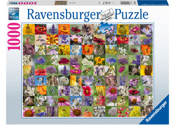 Ravensburger: 99 Bees 1000pc