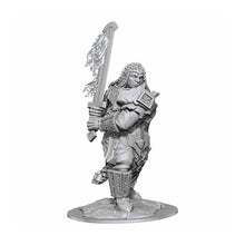 Nolzur's Marvelous Miniatures: Fire Giant
