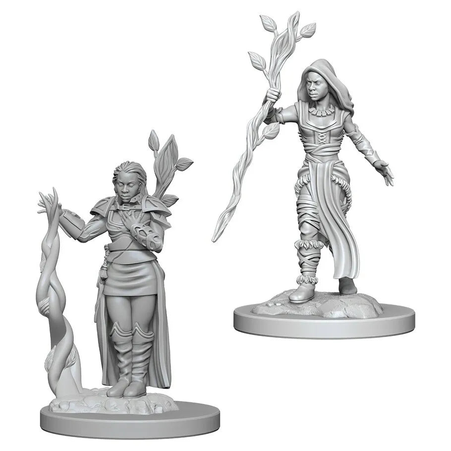 Nolzur's Marvelous Miniatures: Female Human Druid